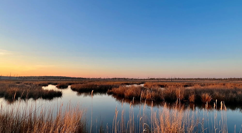 Le développement durable chez Radiometer
